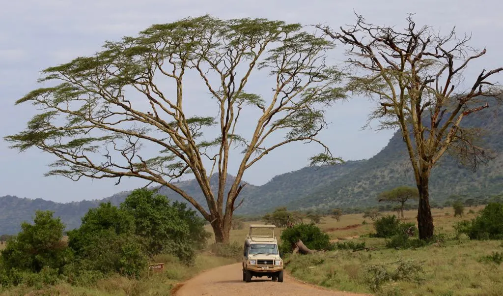 Luxury African safari, Serengeti safari, African adventures, African wildlife safari, luxury safari, visit the Serengeti, #Africa #Serengeti #Safari