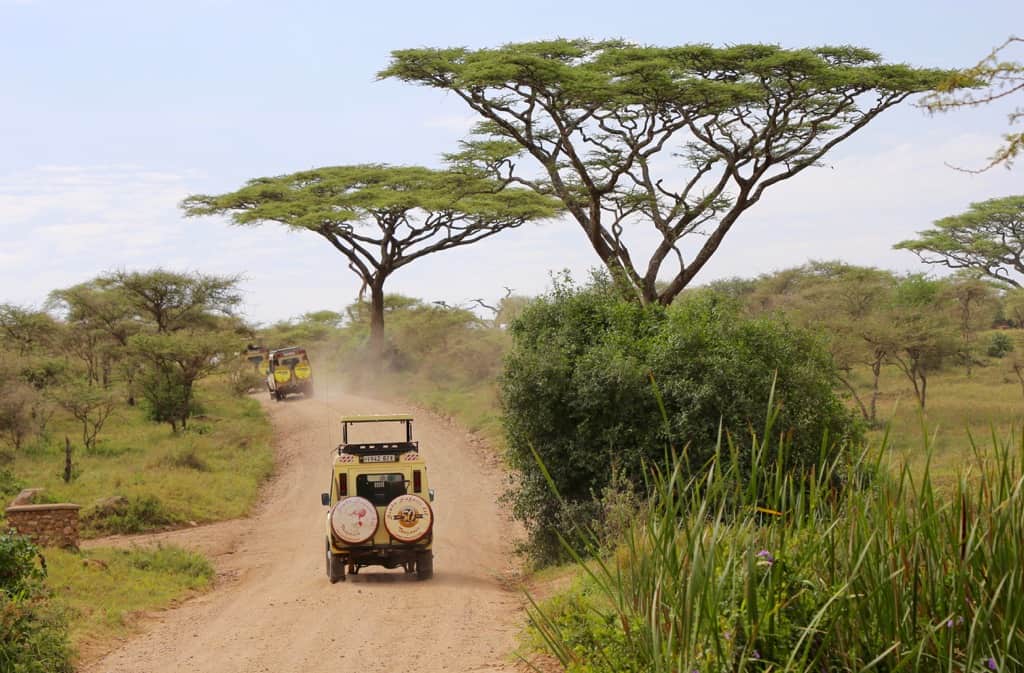 Luxury African safari, Serengeti safari, African adventures, African wildlife safari, luxury safari, visit the Serengeti, #Africa #Serengeti #Safari