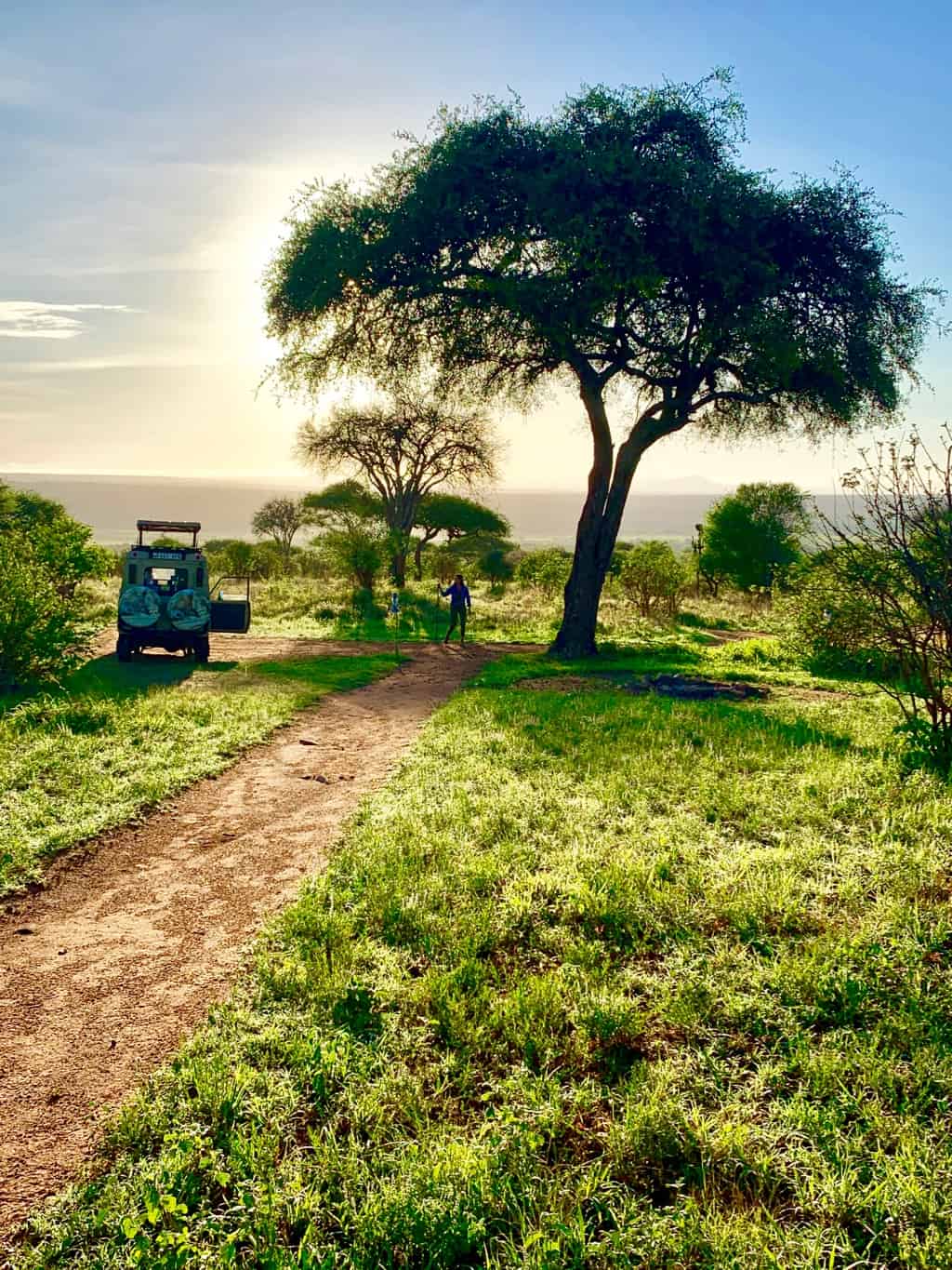 Tanzania itinerary, Tanzania safari itinerary, Kenya and Tanzania safari, Tanzania safari, Tanzania trip, Tanzania holidays, safari and beach holidays, luxury african safari, luxury safari Tanzania, kilimanjaro tour, #Africa #Tanzania