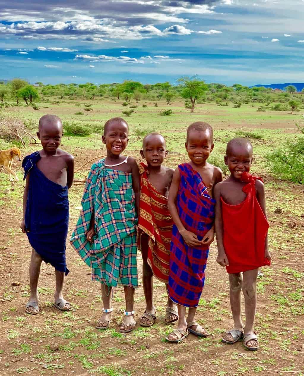 Tanzania itinerary, Tanzania safari itinerary, Kenya and Tanzania safari, Tanzania safari, Tanzania trip, Tanzania holidays, safari and beach holidays, luxury african safari, luxury safari Tanzania, kilimanjaro tour, #Africa #Tanzania