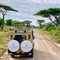 Luxury African safari, Serengeti safari, African adventures, African wildlife safari, luxury safari, visit the Serengeti, #Africa #Serengeti #Safari