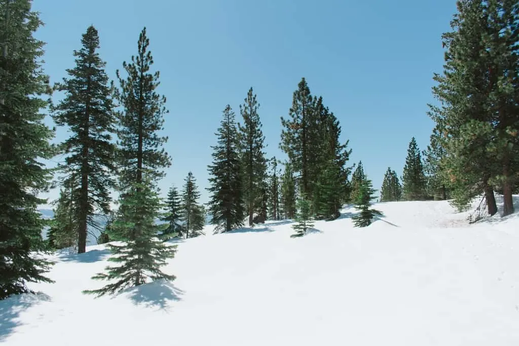 How to Plan the Perfect Lake Tahoe Winter Trip, Lake Tahoe Winter, The perfect Lake Tahoe Winter, #LakeTahoe #California #skiing