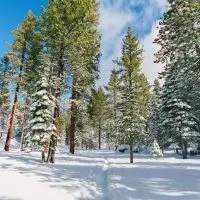 How to Plan the Perfect Lake Tahoe Winter Trip, Lake Tahoe Winter, The perfect Lake Tahoe Winter, #LakeTahoe #California #skiing