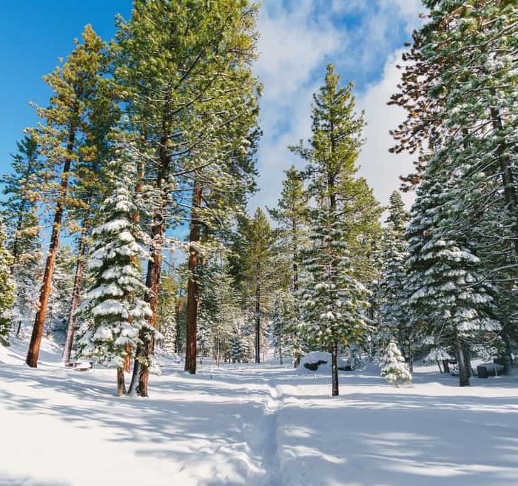 How to Plan the Perfect Lake Tahoe Winter Trip, Lake Tahoe Winter, The perfect Lake Tahoe Winter, #LakeTahoe #California #skiing