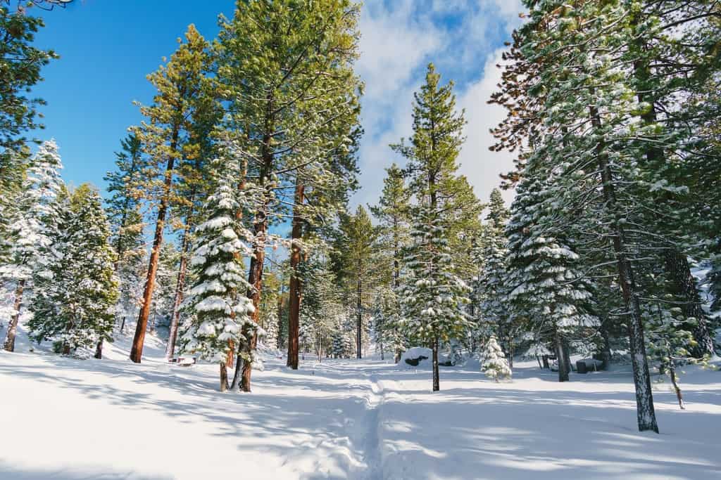 How to Plan the Perfect Lake Tahoe Winter Vacation