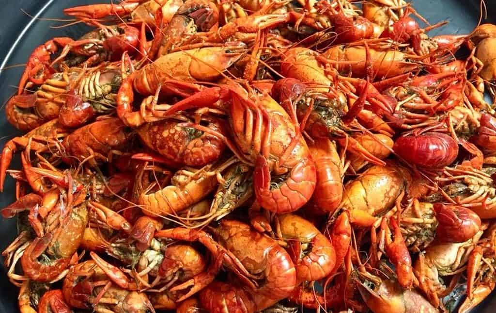 Louisiana Cuisine: You Can't Miss these 15+ Dishes!