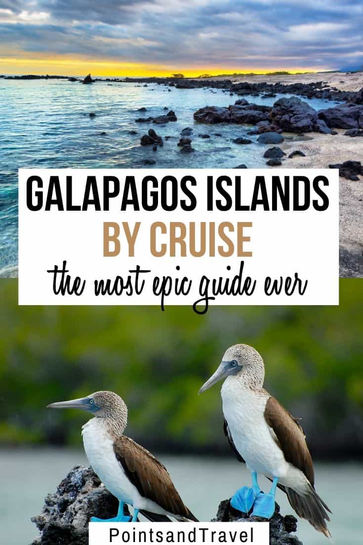 Galapagos cruise, Galapagos islands cruises, Galapagos islands cruise, Galapagos Luxury Cruise, Best Galapagos Cruise, Galapagos cruise ships, Galapagos cruise ship