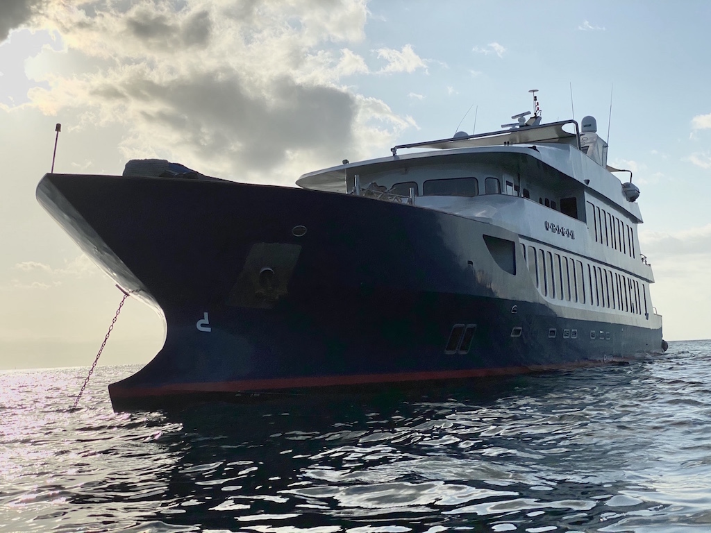 Galapagos cruise, Galapagos islands cruises, Galapagos islands cruise, Galapagos Luxury Cruise, Best Galapagos Cruise, Galapagos cruise ships, Galapagos cruise ship