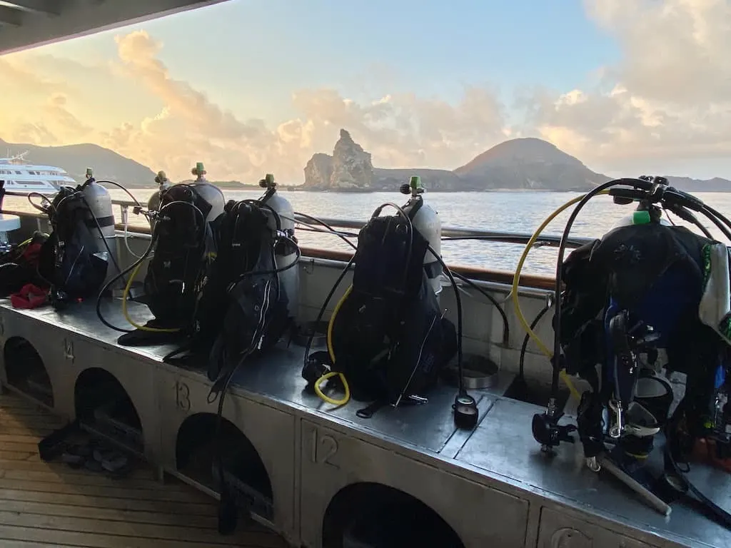 Galapagos Islands scuba diving, scuba Galapagos, Galapagos dive, dive Galapagos, diving Galapagos, Galapagos islands diving, Galapagos islands diving, #Galapagos #scuba #Diving #Ecuador