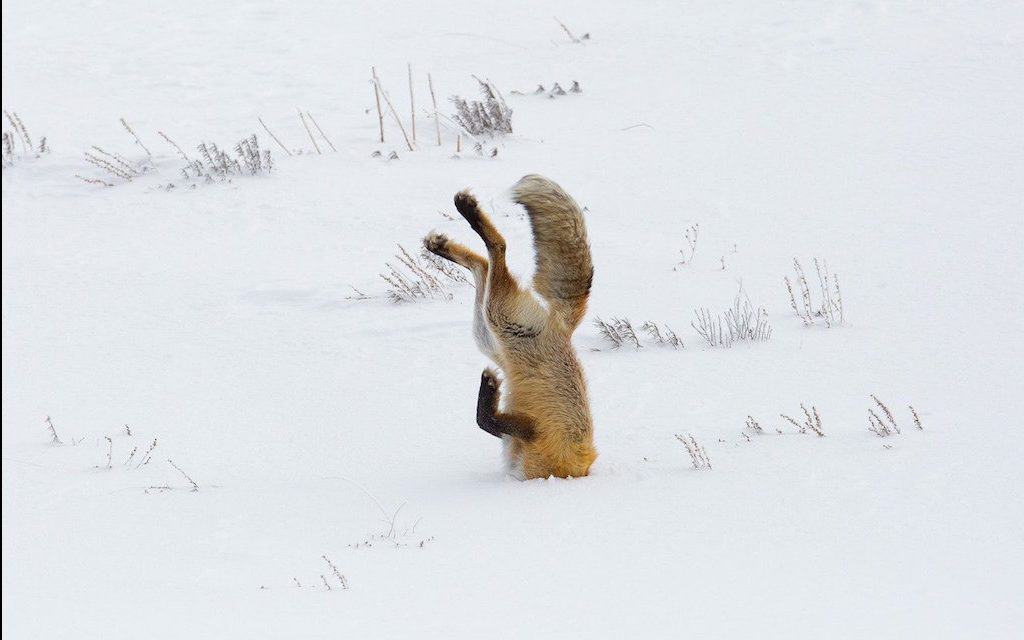 Winter Trips!