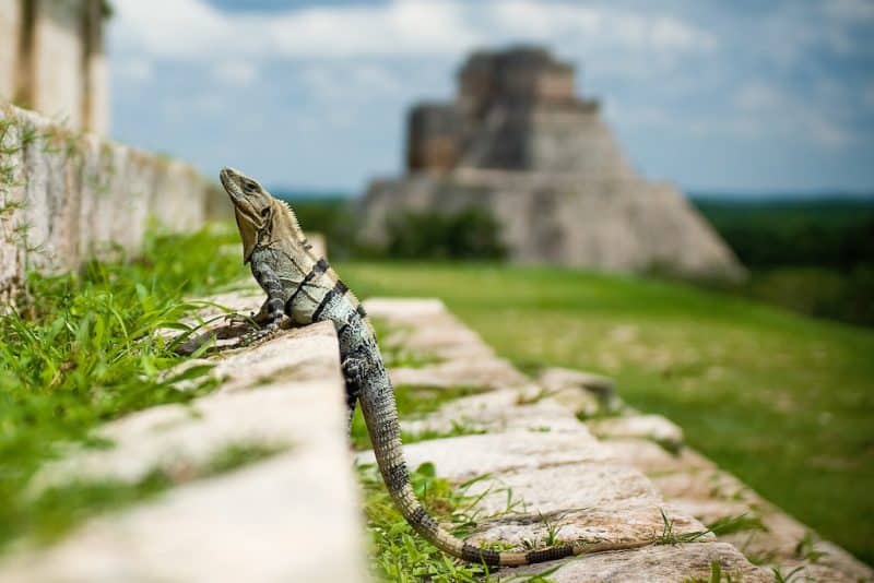Famous Landmarks in Mexico You Must Visit!