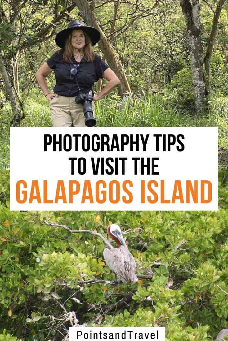 visit Galapagos Islands, Why visit the Galapagos Islands, Facts about the Galapagos Islands, Visiting the Galapagos Islands, Galapagos Islands Wildlife #Galapagos #Ecuador