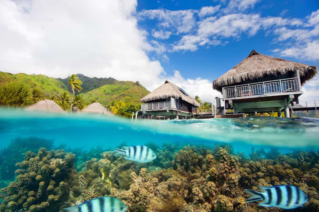 bora bora honeymoon, honeymoon bora bora, honeymoon resorts in Bora Bora, #BoraBora #Honeymoon