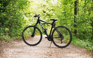 New England Road Trip, New England Road Trips, Road trips New England, Road trip in New England, #NewEngland #Roadtrips, bicycle
