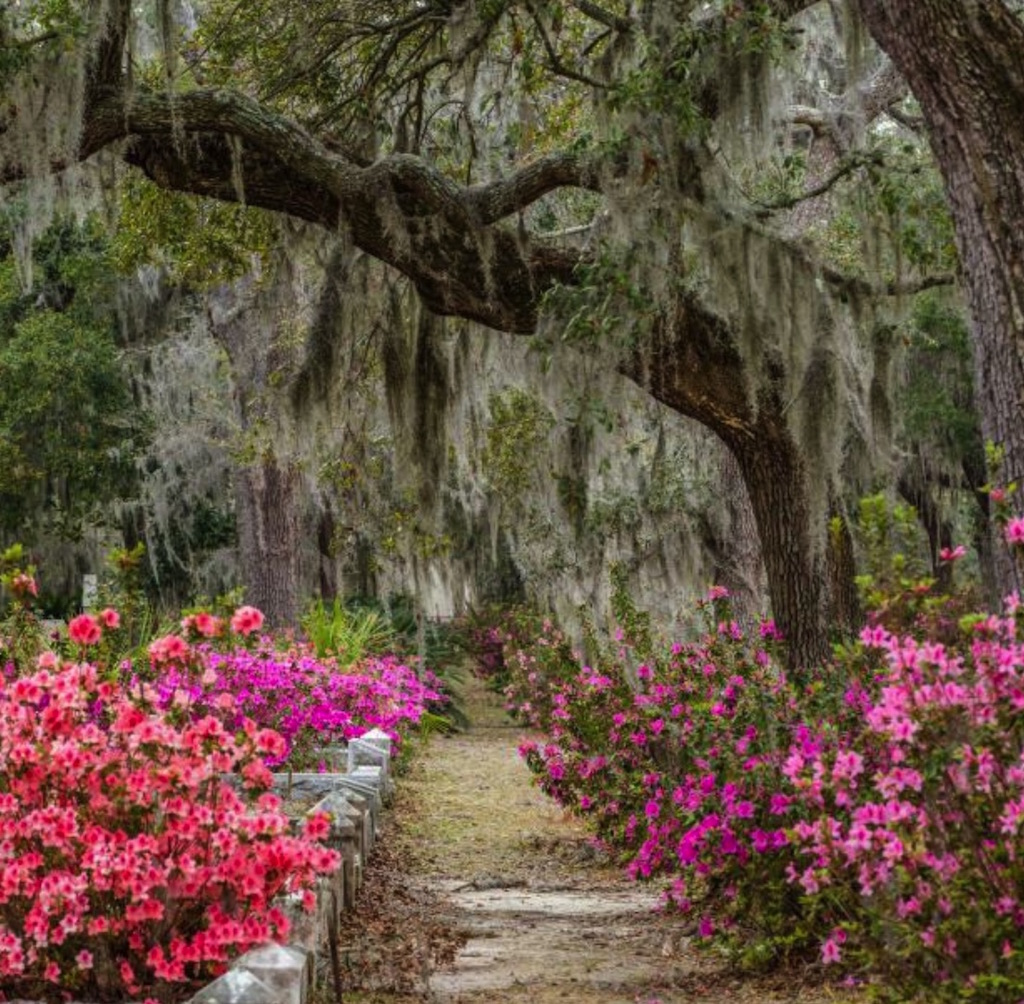 Savannah GA: Guide to the Best Things To Do