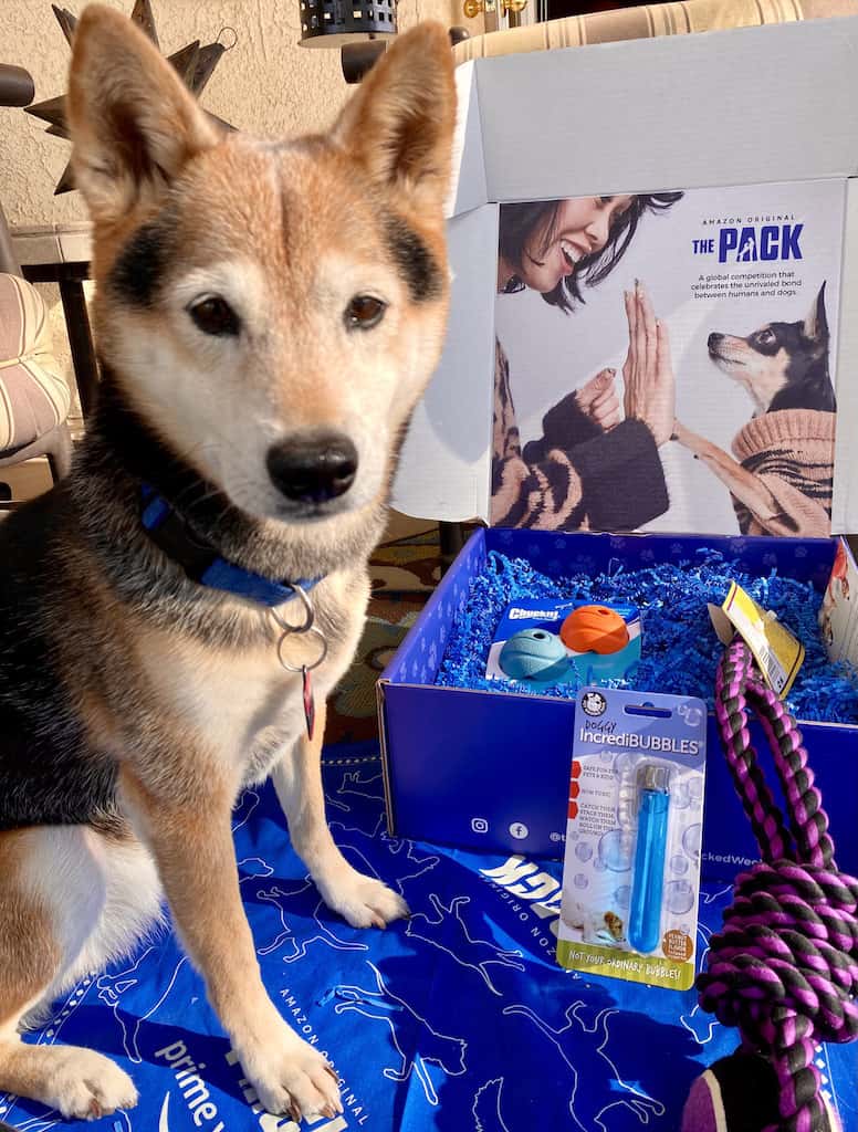"The Pack" - Amazon Video Series