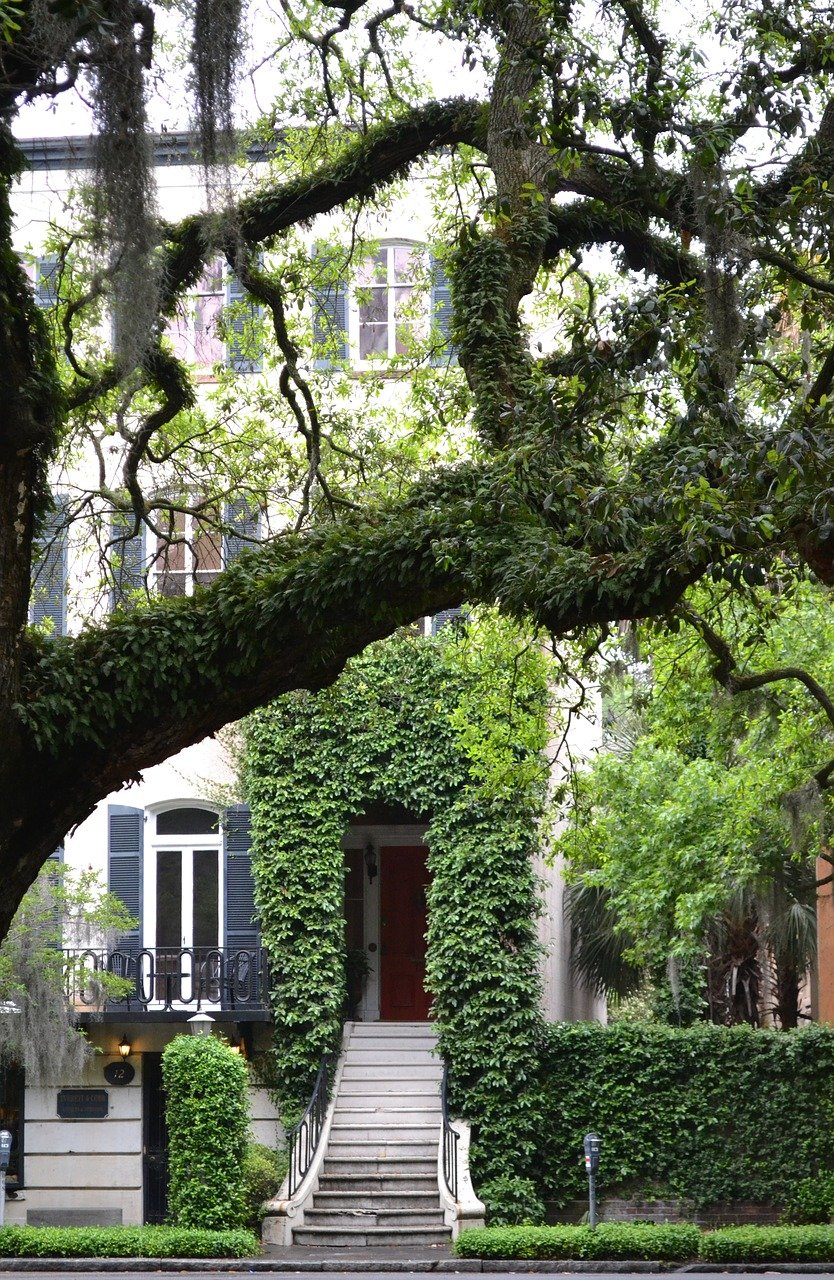 Things to do in Savannah GA