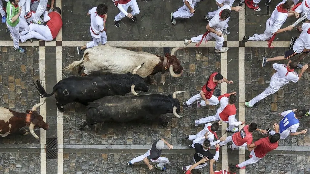 Running of the bulls New Orleans, New Orleans Running of the Bulls in New Orleans, #Runningofthebulls #NewOrlean