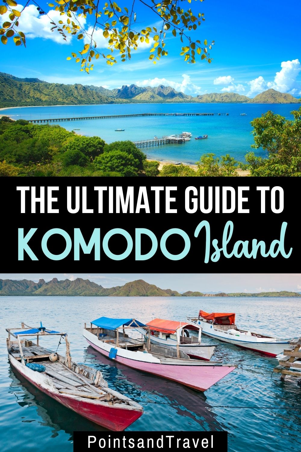 Komodo dragon, Komodo, Komodo island, Pictures of Komodo dragons, komodo dragon island