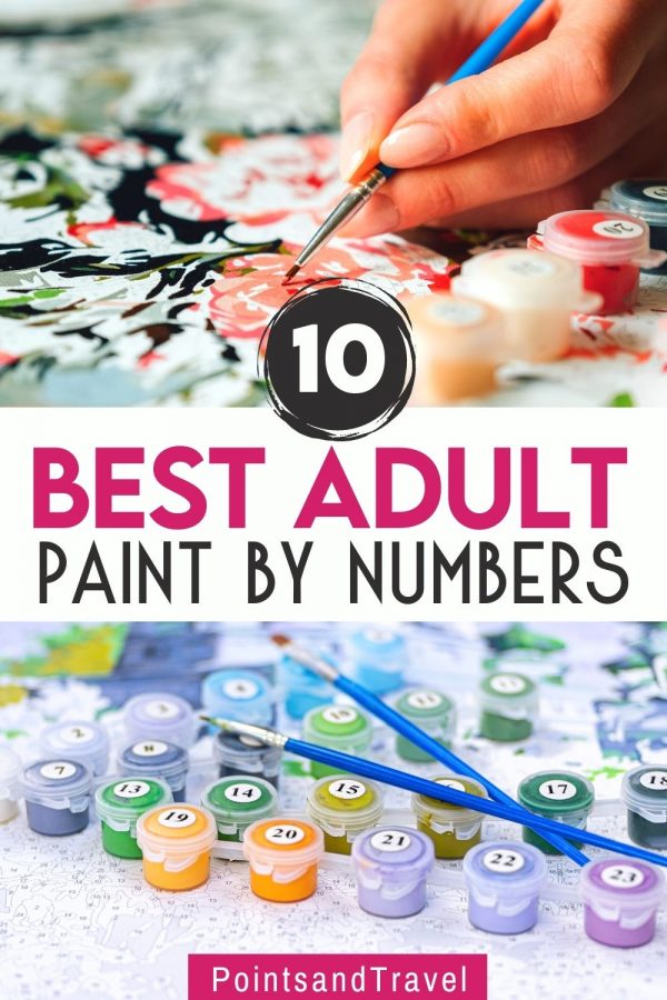 10 Best Adult Paint by Numbers Kits
