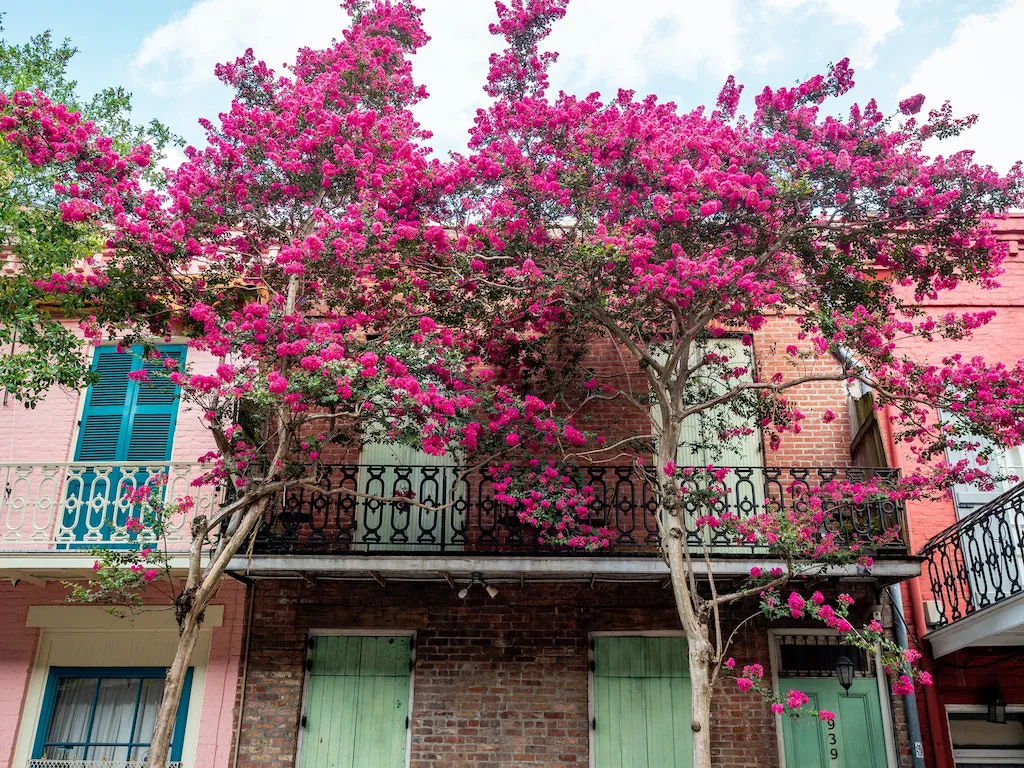 Things to do in New Orleans #NewOrleans #Louisiana