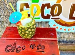 Things to do in Panama City Florida, Panama City Beach, Panama City Beaches, beaches of panama city, panama city Beach Fl, beaches Panama city Florida, #panamacitybeach, best beaches in Panama City Florida, aquariums in Panama City beach Florida, Miami Beach, best-party-beaches-in-Florida