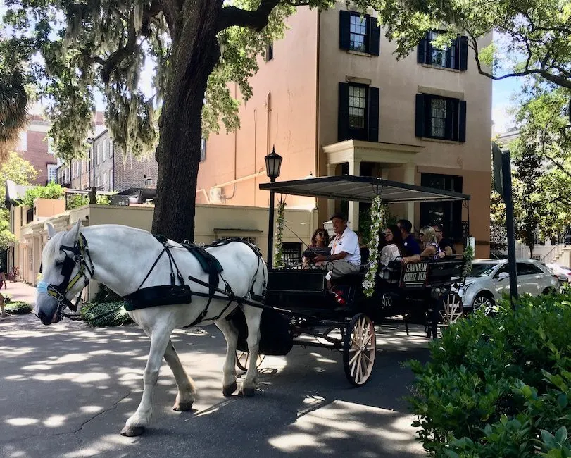 Romantic Horse Drawn Carriage Ride in Savannah GA
