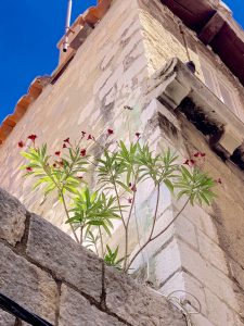 things to do in hvar, hvar town beaches, best things to do in hvar, top things to do in hvar, beaches near hvar town, hvar attractions, things to do in Croatia, slavonia, hiking in Croatia