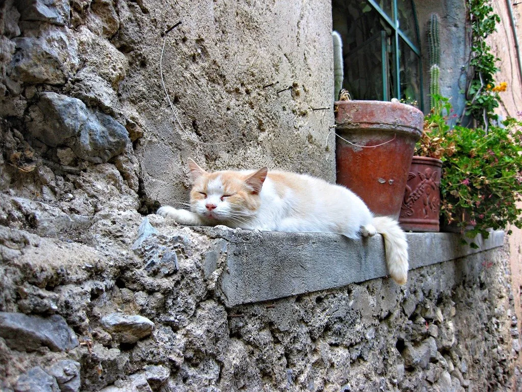 Positano italy, Positano, #Positano