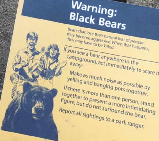 Black bear Warning