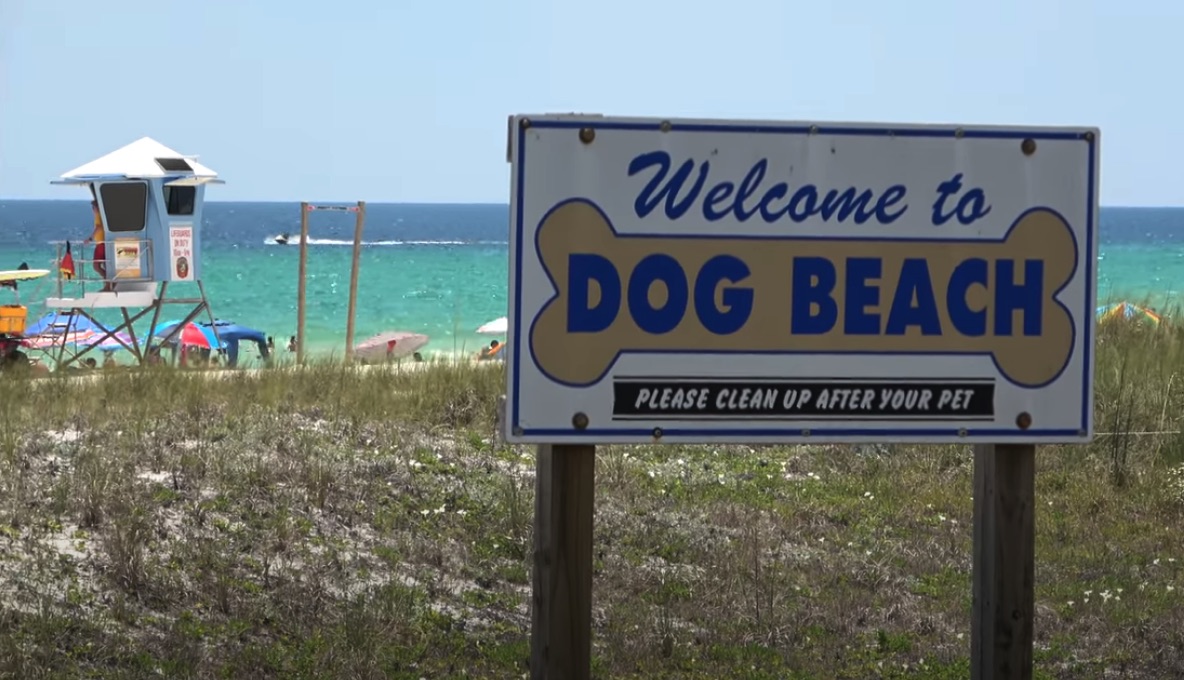 Panama City Beach Bucket List 20+ Things To Do