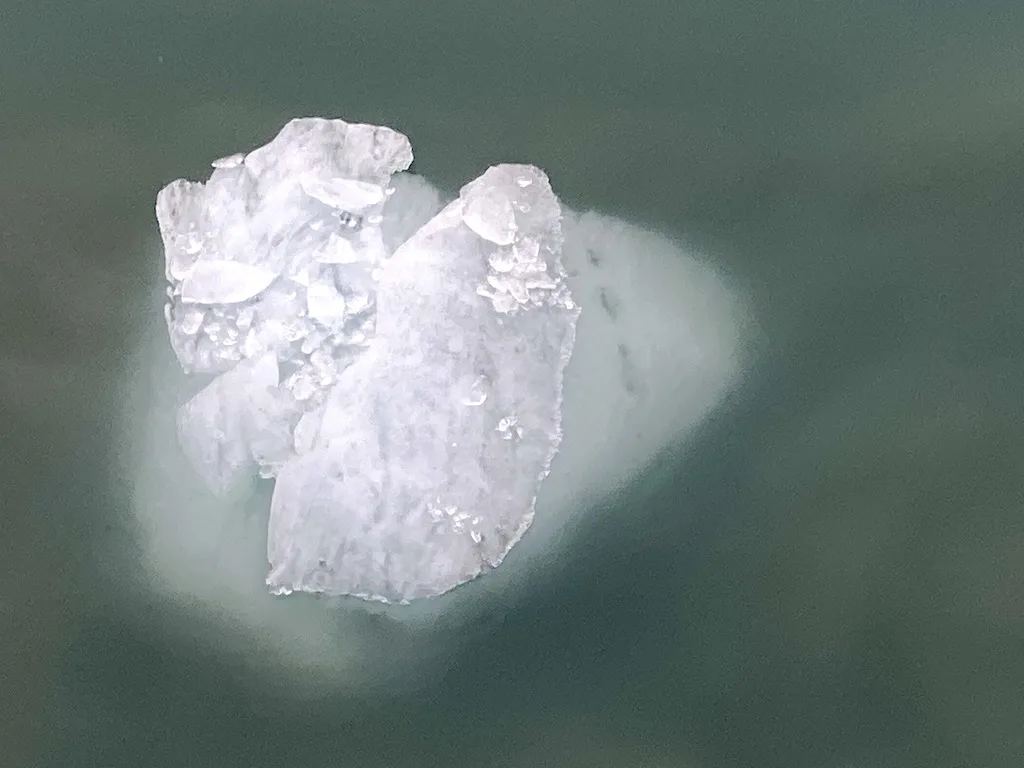 Large Icebergs in Glacier Bay National Park