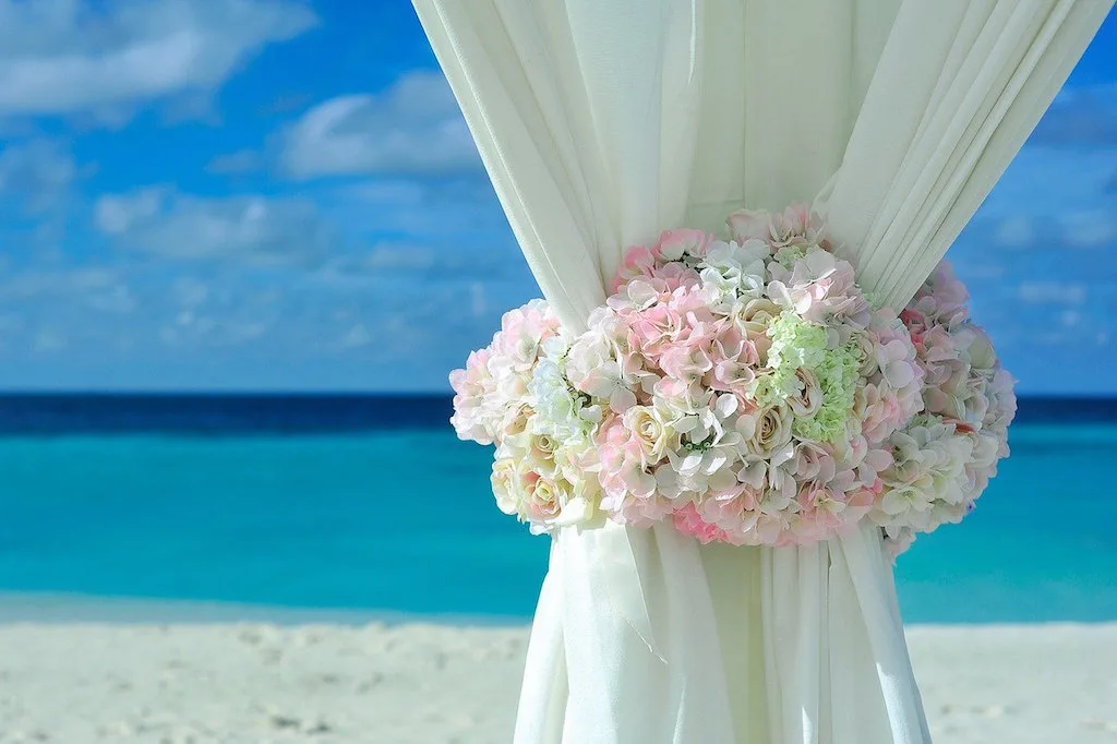 Flowers with a curtain on the beach
