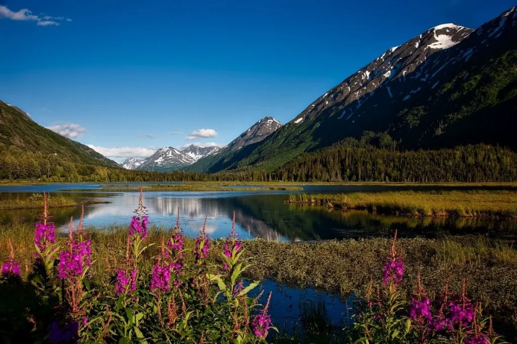 chugach-national-forest-