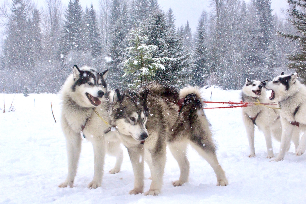 Winter in Wyoming