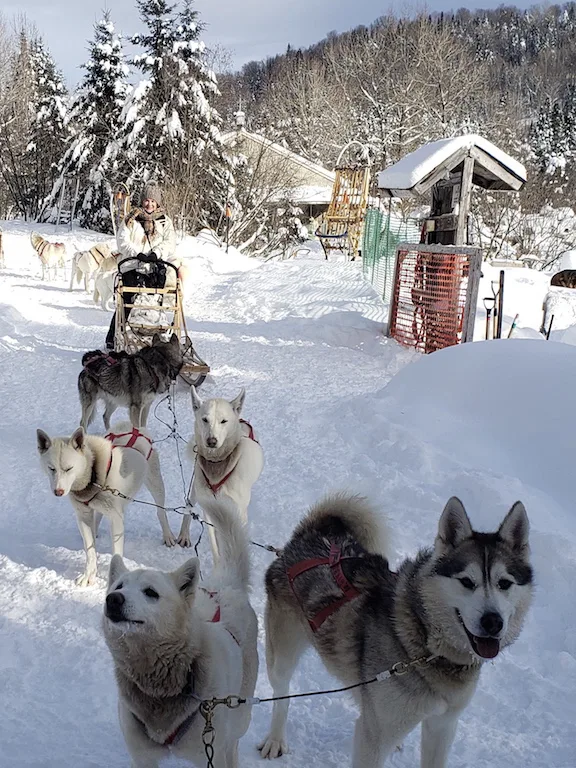 Winter in Wyoming