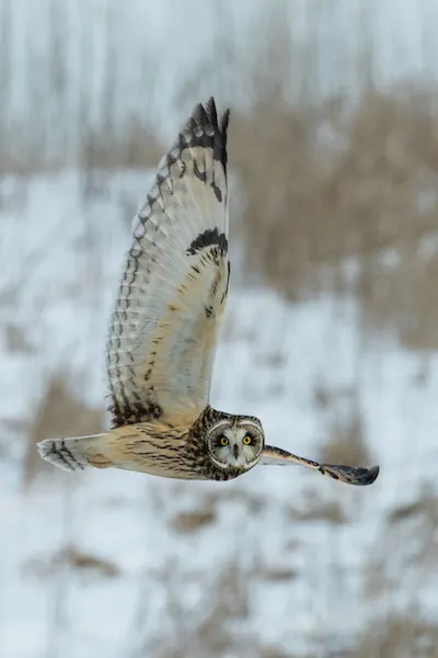 Winter in Wyoming