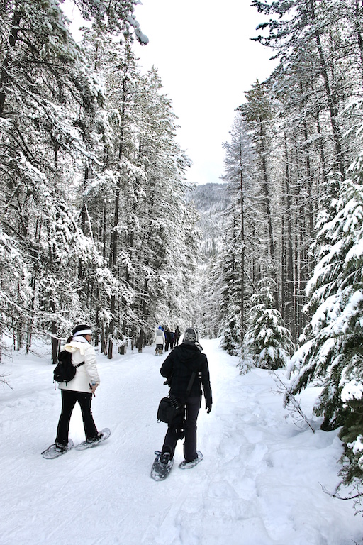 Winter in Wyoming