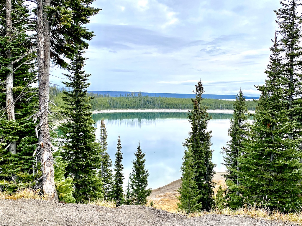 The best time to Visit Yellowstone, trees with lake
