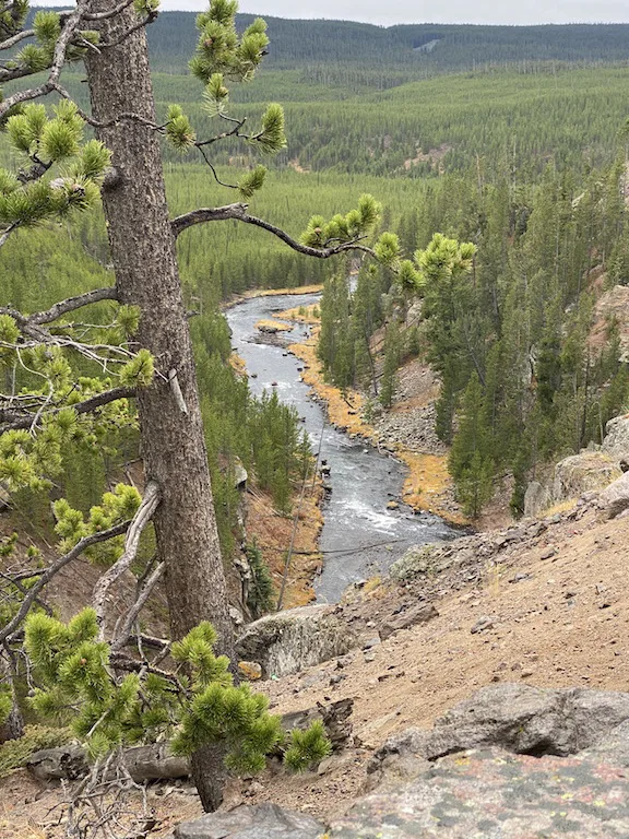 The best time to visit Yellowstone, creek