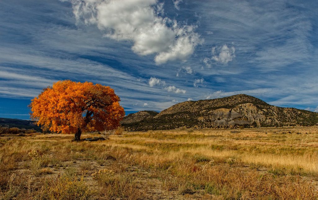 Where to stay in Taos, New Mexico