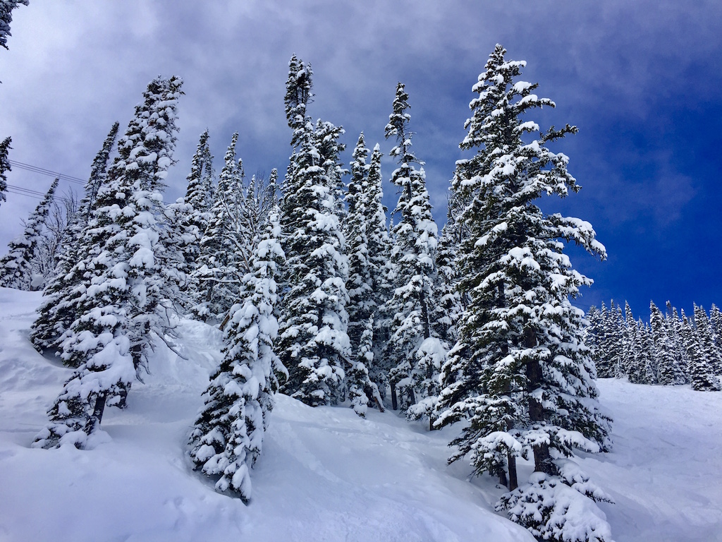 Winter in Wyoming