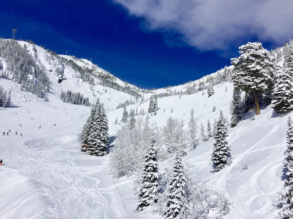 Winter in Wyoming