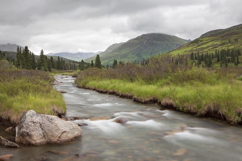 Stream in the Talkeetna Mountains, Palmer, Alaska, United States, North America
