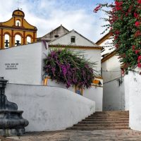 day of the dead oaxaca