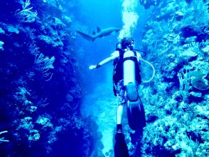 scuba diving with a shark, best excursions in Belize, Belize travel tips, best Caribbean dive sites