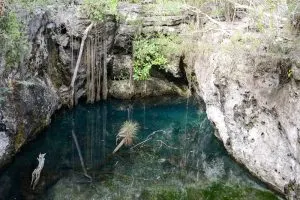 cenote dos ojos Mexico, cenotes caves Mexico, Ik Kil Cenote Mexico, cenotes caves Mexico, Ik-Kil Cenote Mexico, cenotes caves Mexico, Mexico fauna, cenotes caves Mexico, best cenotes in Mexico, cave diving Cancun, snorkeling in Riviera Maya Mexico