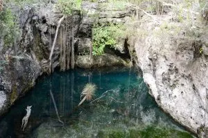 cenote dos ojos Mexico, cenotes caves Mexico, Ik Kil Cenote Mexico, cenotes caves Mexico, Ik-Kil Cenote Mexico, cenotes caves Mexico, Mexico fauna, cenotes caves Mexico, best cenotes in Mexico, cave diving Cancun