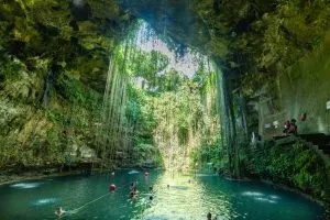 Ik Kil Cenote Mexico, cenotes caves Mexico, Ik-Kil Cenote Mexico, cenotes caves Mexico, Mexico fauna, cenotes caves Mexico, best cenotes in Mexico, cave snorkeling Cancun, Cenote Ik Kil 