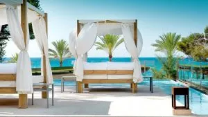 Bali Beds in Mexico, best small all inclusive resorts in Mexico, Boat with palm tree, best way to get to key west, Beach and kids, best way to get to key west, Kid with sunrise, best way to get to key west, play with dolphins, 2 day cruise to bahamas from west palm beach, Cancun 4 day itinerary, Mexico turtle, things to do in Mexico, Best Beaches in Mexico for Families, Best Beaches in Cancun, 4 day trip to Bahamas, Mexico Leisure activities, AQUASUITE in Live Aqua Cancun Mexico, best small all inclusive resorts in Mexico, Cancun in October, things to do in Grand Bahamas